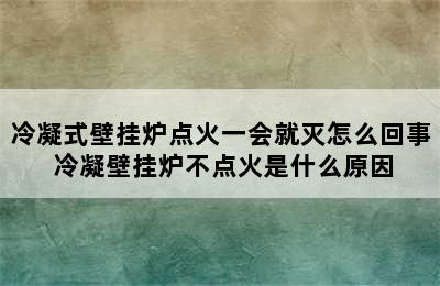 冷凝式壁挂炉点火一会就灭怎么回事 冷凝壁挂炉不点火是什么原因